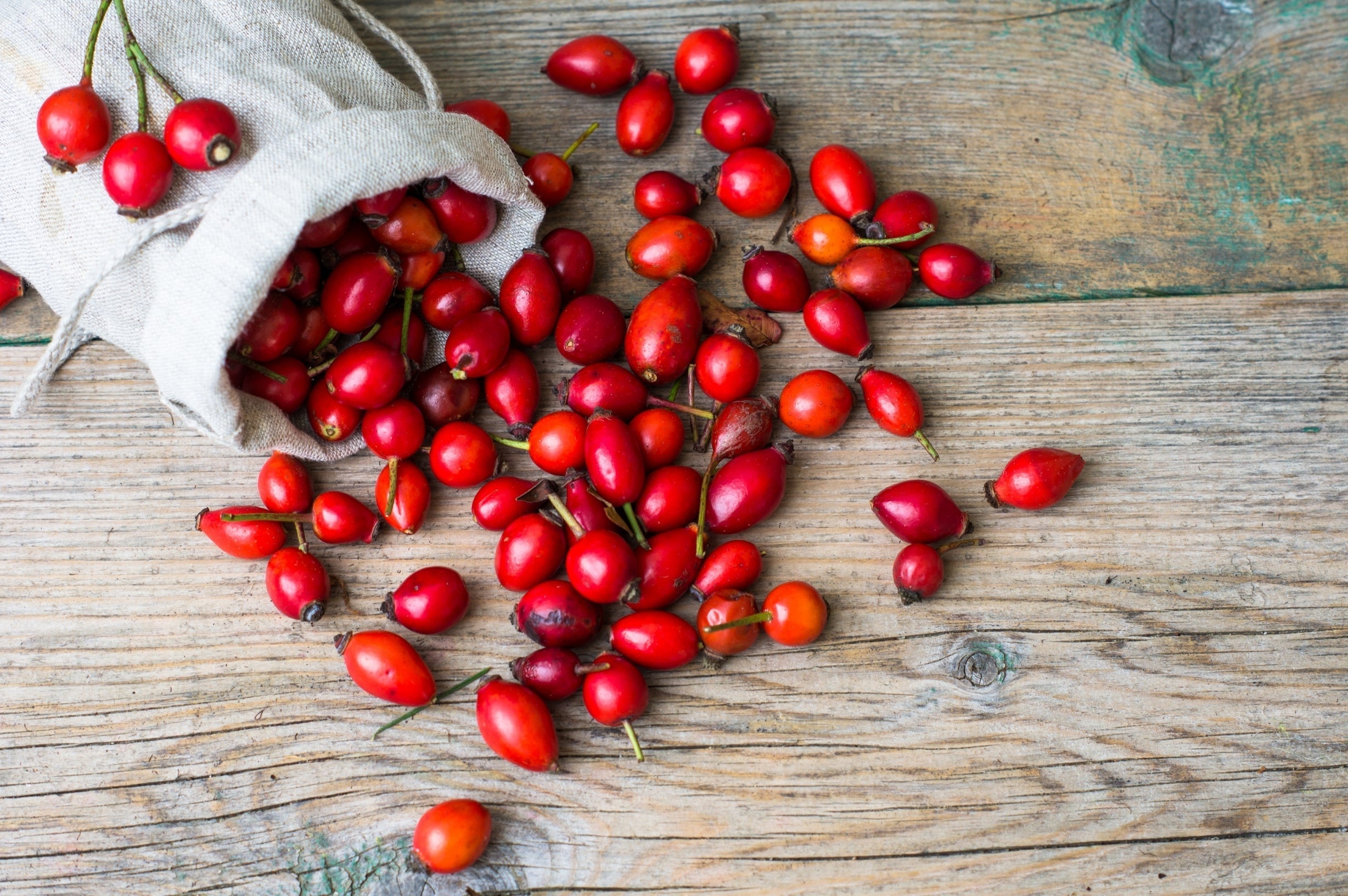 Carotenoid composition and in vitro pharmacological activity of rose hips*