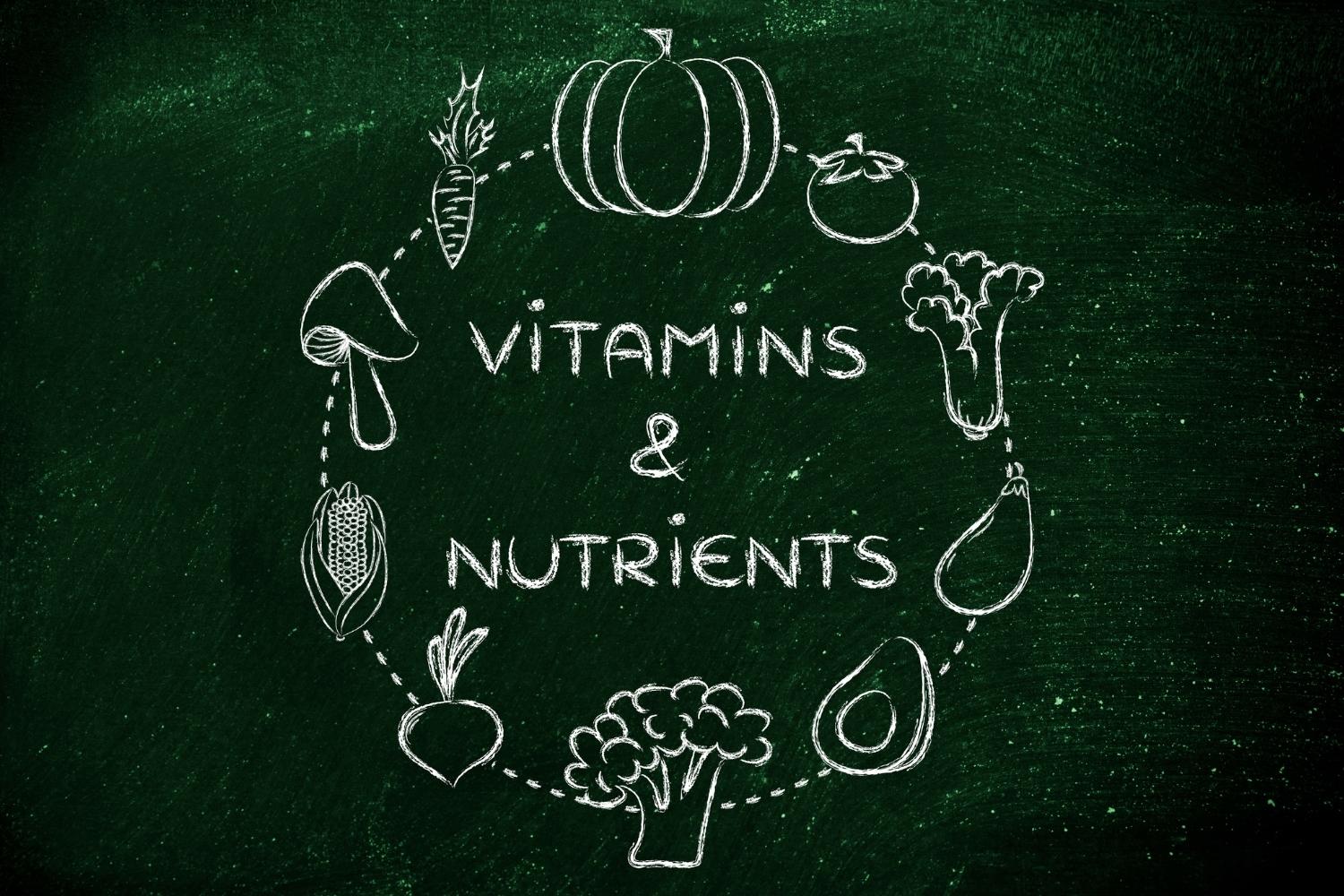 The Power of Macronutrients